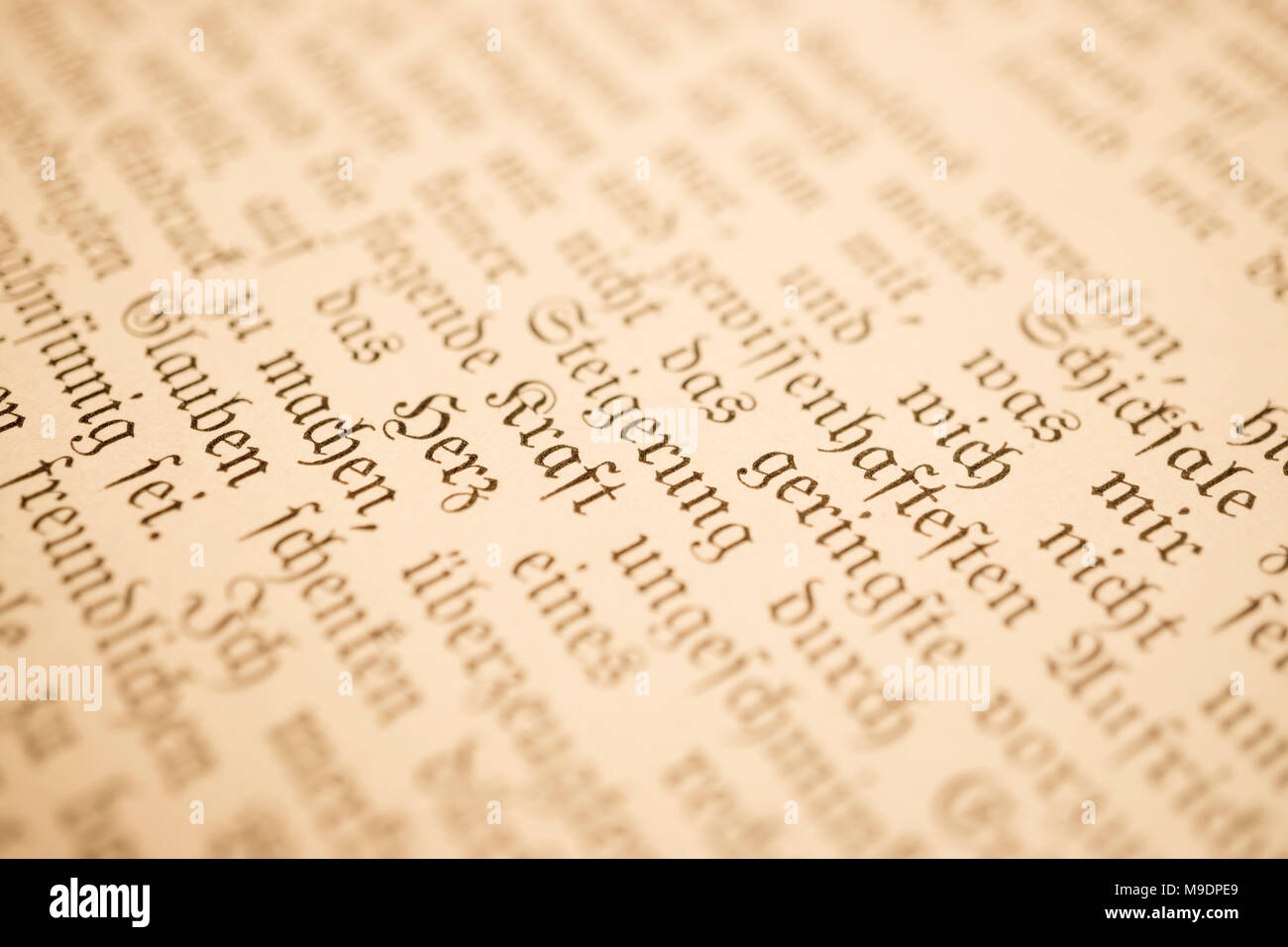 Dettagli del libro I viaggi di Gulliver, pubblicato nel tardo Ottocento come Gullivers Reisen, da Franz Hoffman. Include le illustrazioni. Foto Stock