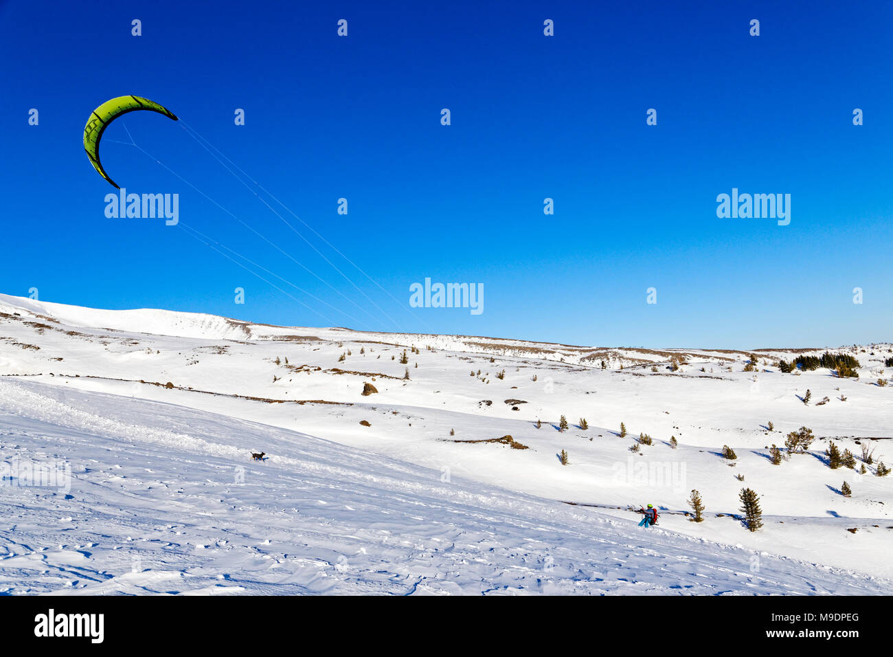 Uomo 42,779.01070 kite boarding con un giallo e nero vela sul Monte Cofano, vicino al Governo Camp, Oregon, Stati Uniti d'America Foto Stock