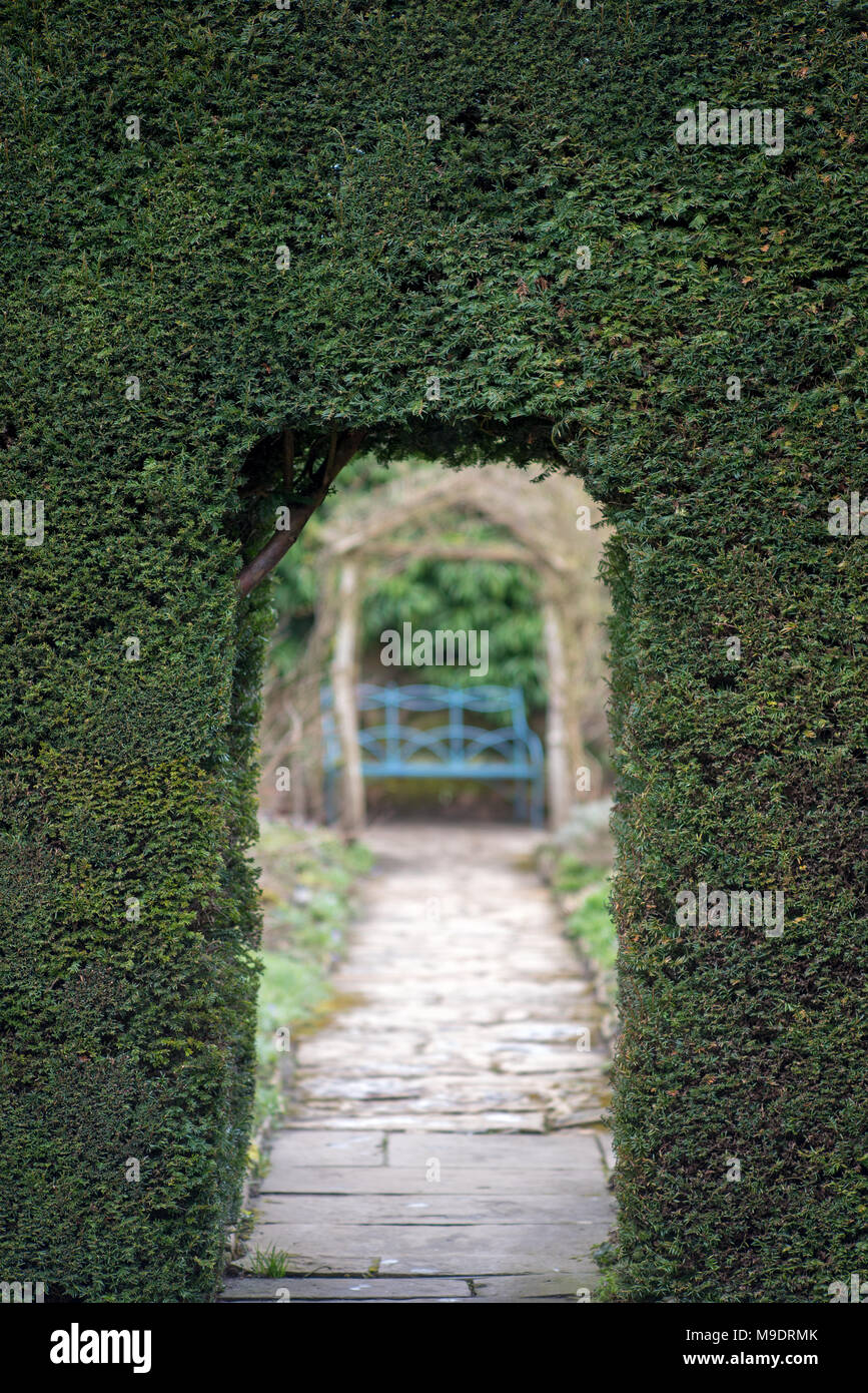 Arco naturale porta ingresso in hedge nel giardino ornamentale Foto Stock