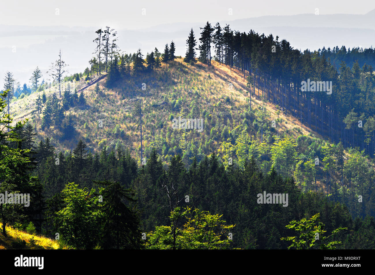 Soleggiata montagna paesaggio delle montagne di pietra (scabrosi Kamienne) nel Sudetes, Bassa Slesia, Polonia. Foto Stock