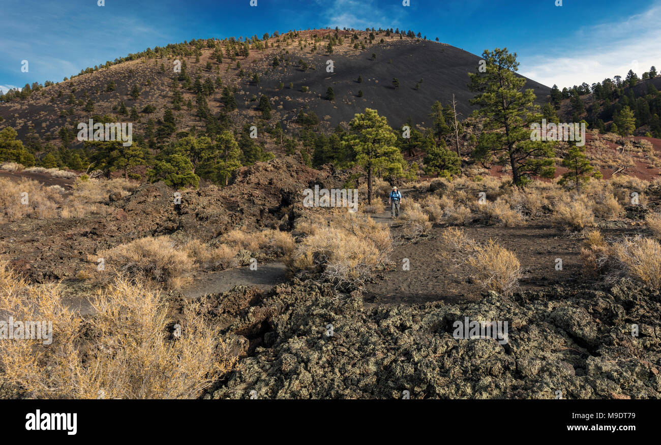 AA i flussi di lava e coni di scorie, Sunset Crater National Monument, AZ Foto Stock