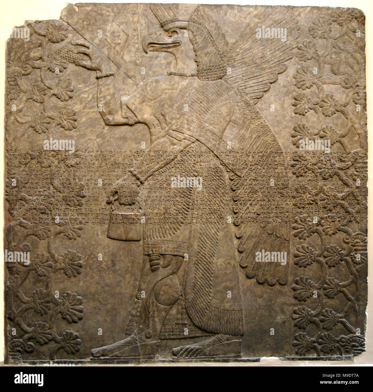 Rilievo con spirito protettivo. Testa di aquila tra alberi sacri. L'Assiro del Nord Ovest del palazzo di Nimrud, Sala F, il pannello 8, circa 865-860 A.C. Foto Stock