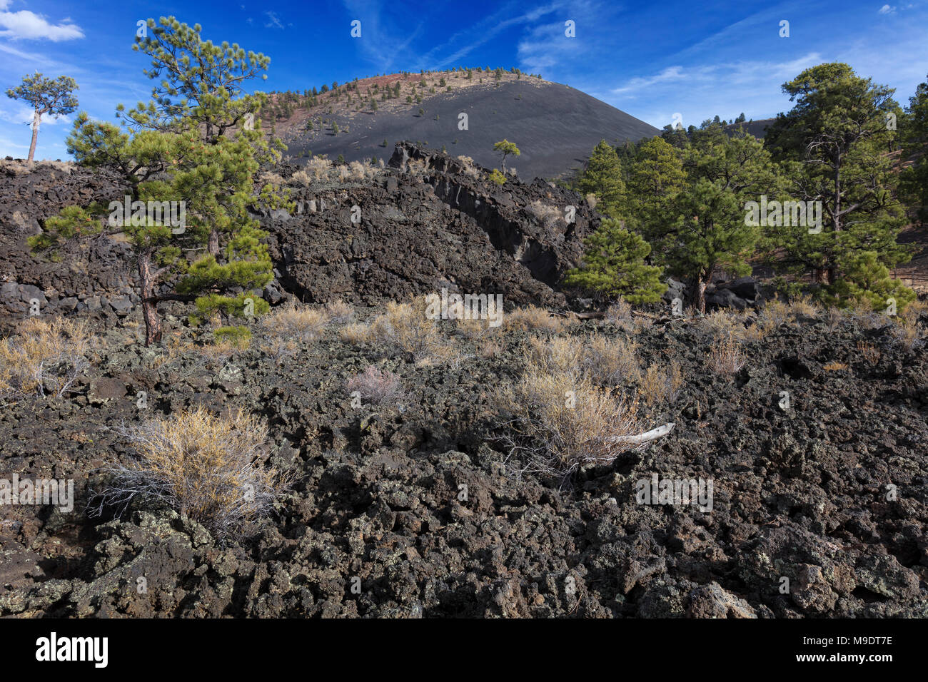 Lava antica flusso AA, Sunset Crater National Monument, Arizona Foto Stock