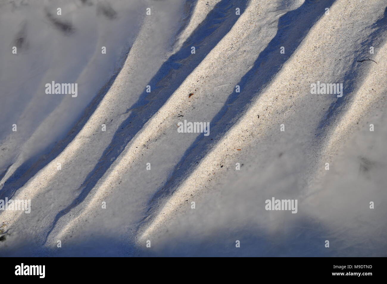 Spiaggia ghiacciata patterns, Lofoten, Norvegia Foto Stock