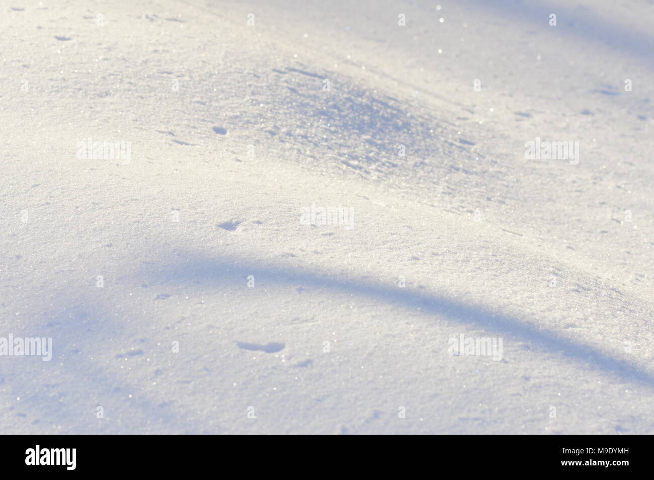 Bianco puro scena di neve la bellezza della natura sfondo innevato Foto Stock