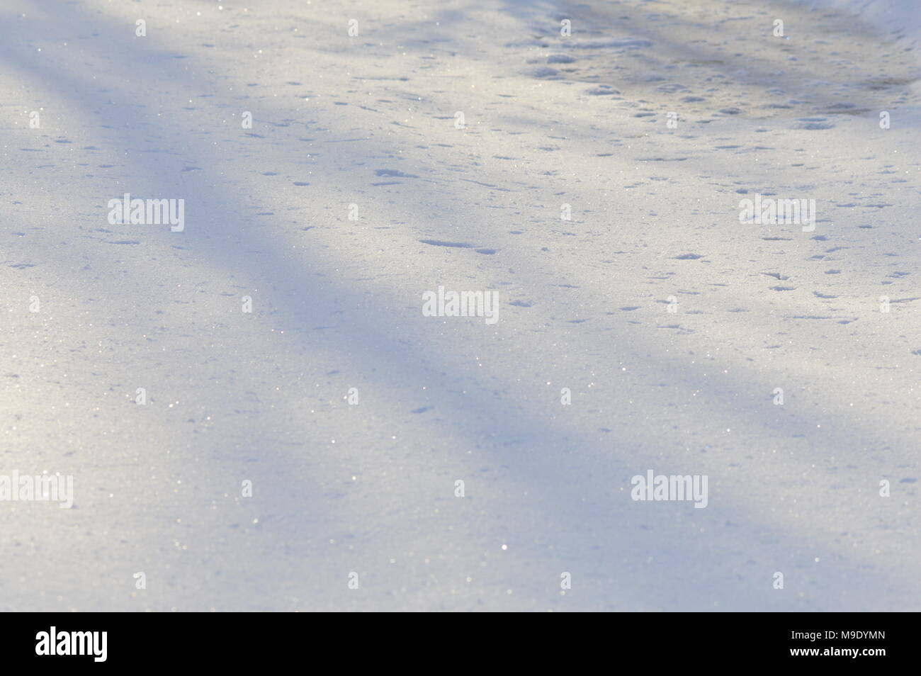 Presto la fusione della molla snow ice di una foresta fiume sotto la mattina il sole d'inverno Foto Stock