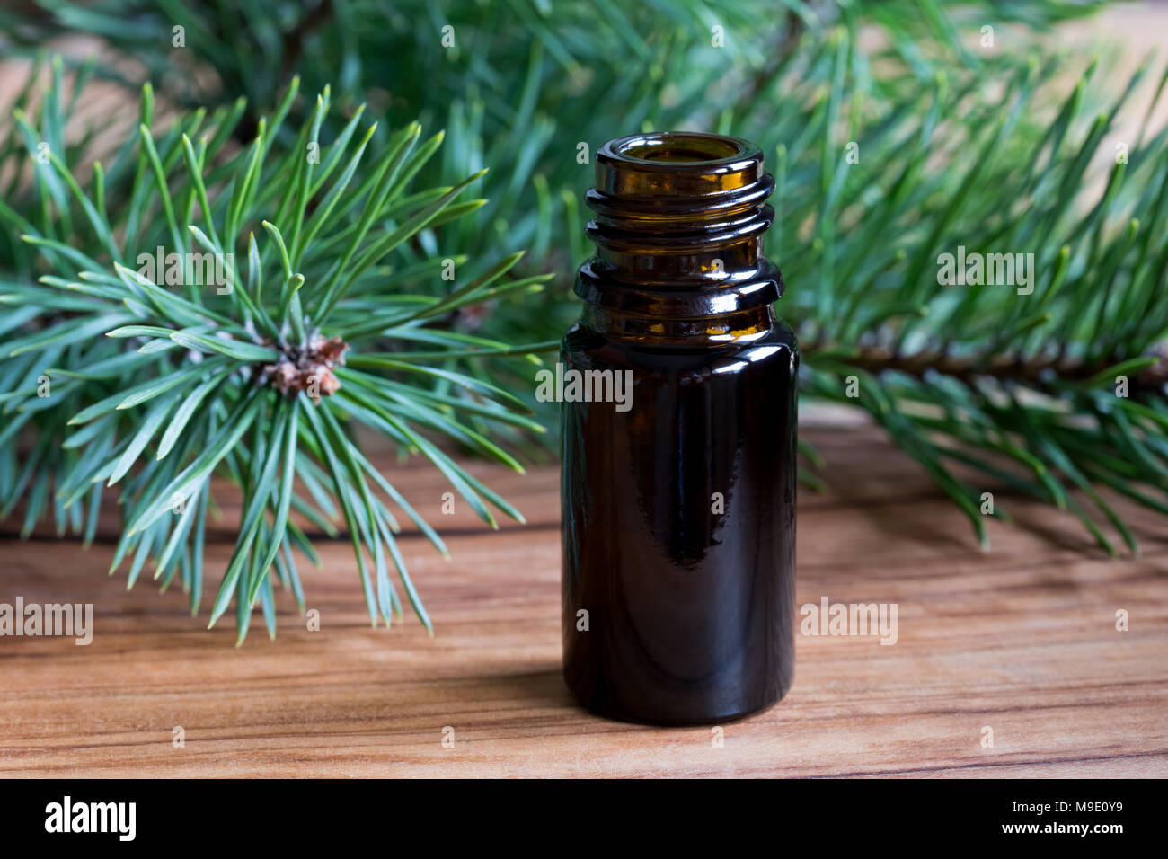 Una bottiglia di pino olio essenziale di pino freschi ramoscelli su un tavolo di legno Foto Stock