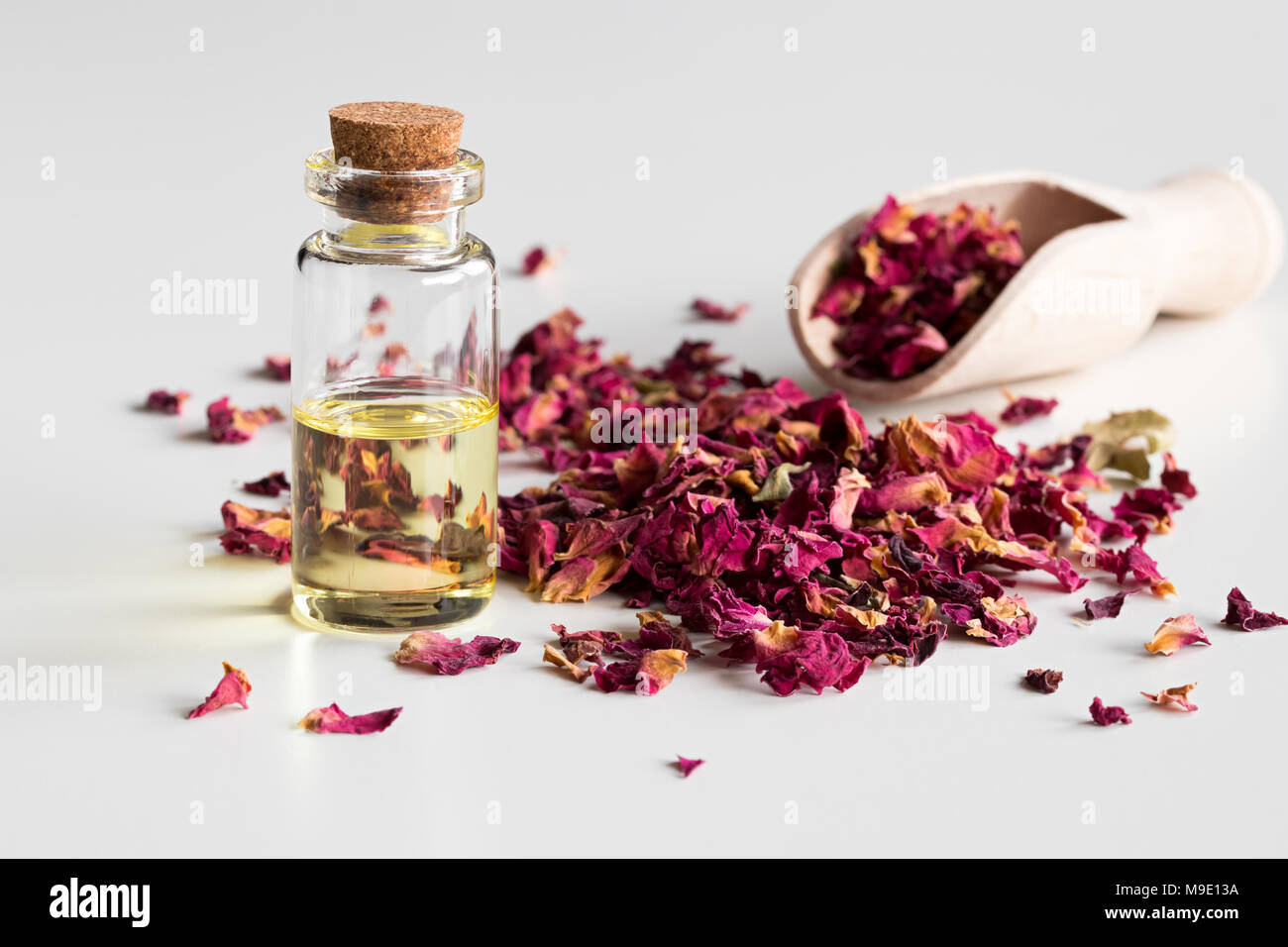 Una bottiglia di rosa olio essenziale con secchi petali di rosa su sfondo bianco Foto Stock