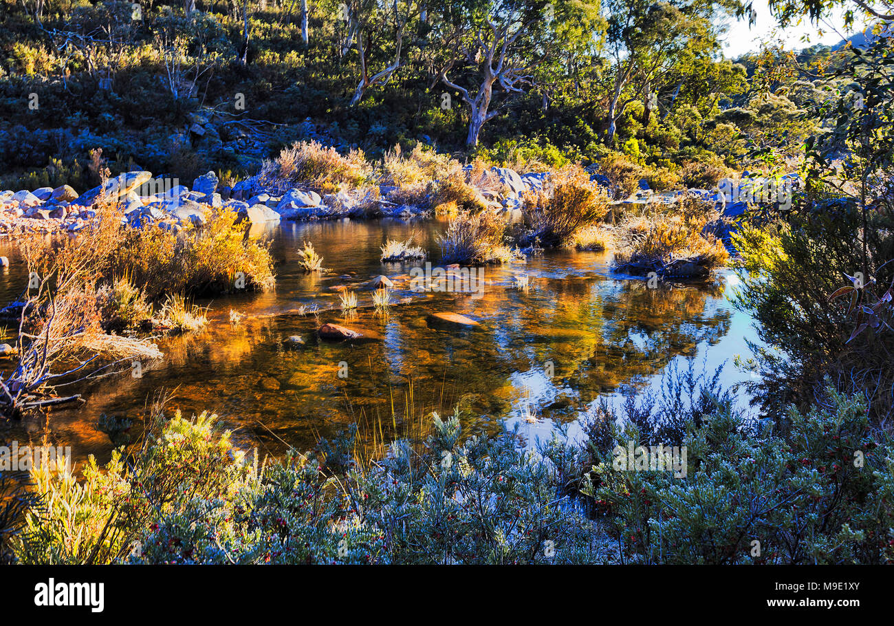 La brina e il ghiaccio coperto poco profondo fiume nevoso in montagna innevata sotto la diga Guthega nella evergreen gumtree boschi. Il freddo inverno mattina sbianca riva del fiume p Foto Stock