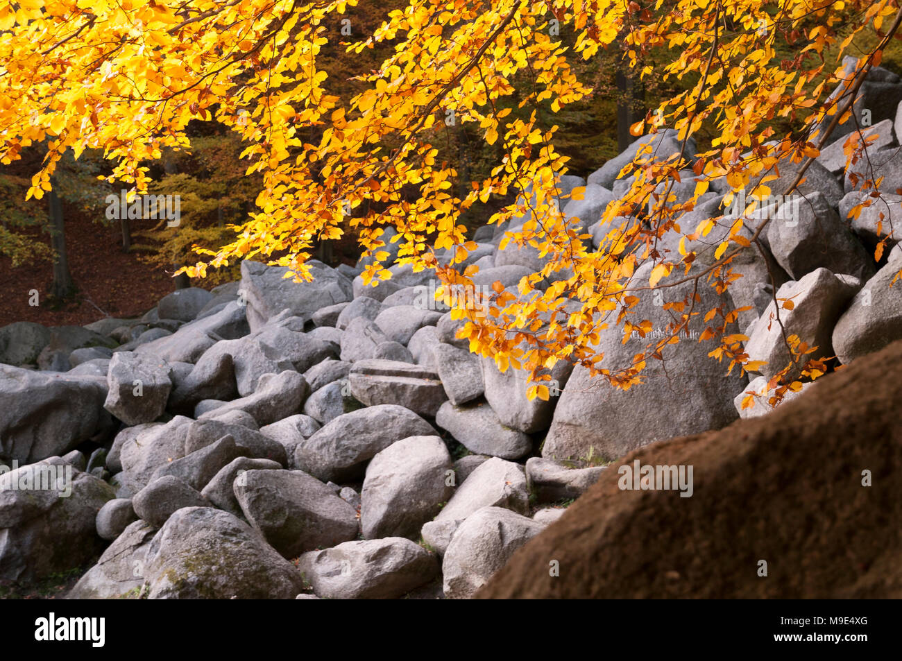 Felsenmeer bei Reichenbach, Odenwald, Assia, Deutschland, Europa Foto Stock