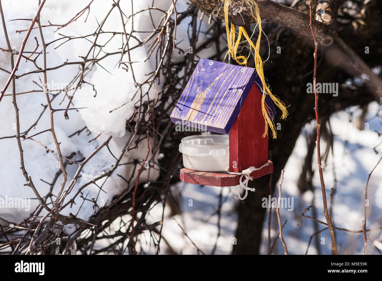 Colorata di rosso e viola dipinte bird feeder su un arbusto fronda contro rametti di biancospino e un mucchio di neve bianca Foto Stock