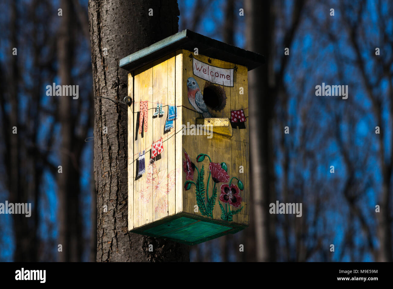 Colorfuly e divertente dipinto di uccelli case fissato ad un tronco di albero. Giornata di sole di inizio primavera. Foto Stock