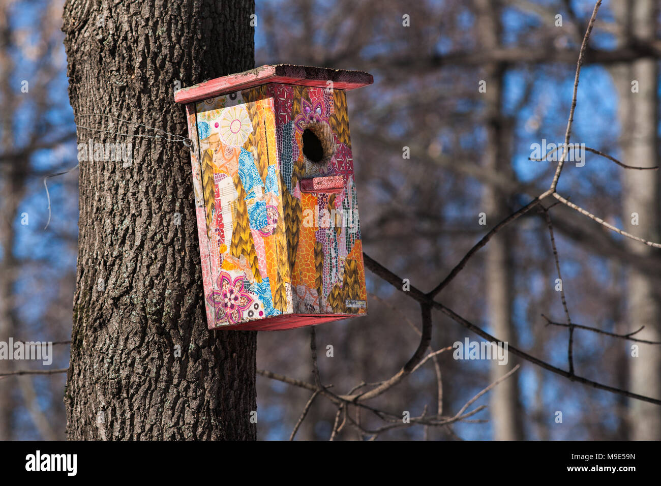 Colorfuly e divertente dipinto di uccelli case fissato ad un tronco di albero. Giornata di sole di inizio primavera. Foto Stock