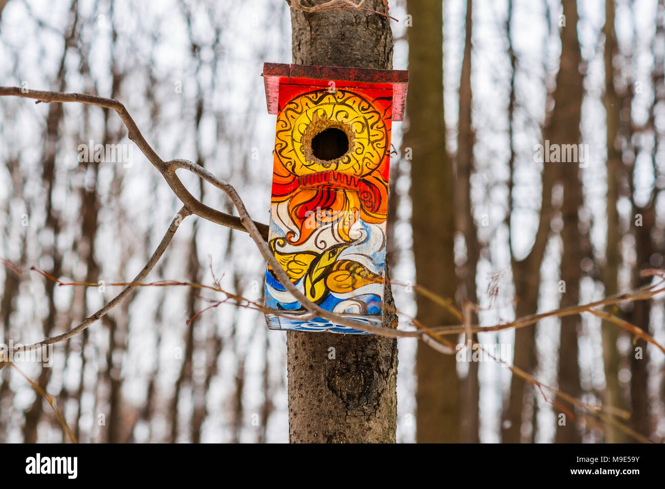 Colorfuly e buffo uccello dipinto casa fissata al tronco di un albero. Fredda giornata invernale, cielo bianco Foto Stock
