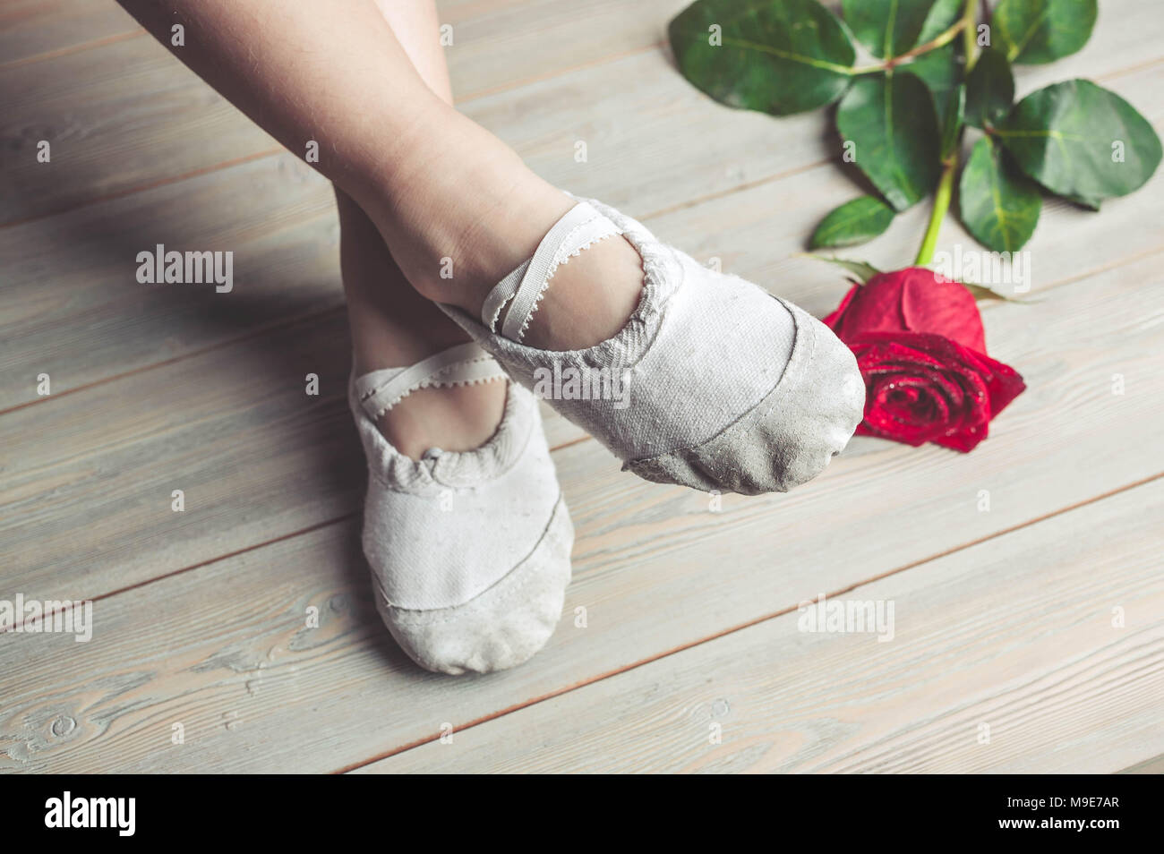 Un po' ballerino e una rosa rossa. Le gambe di una ragazza nel balletto pantofole su un pavimento di legno Foto Stock