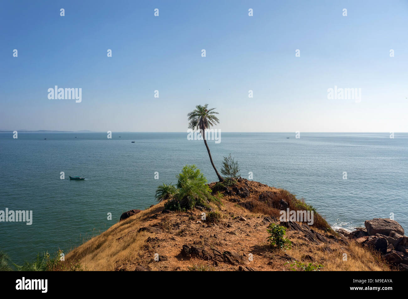Verde alto lonely Palm tree sulla montagna contro il mare nelle esotiche paese asiatico Foto Stock