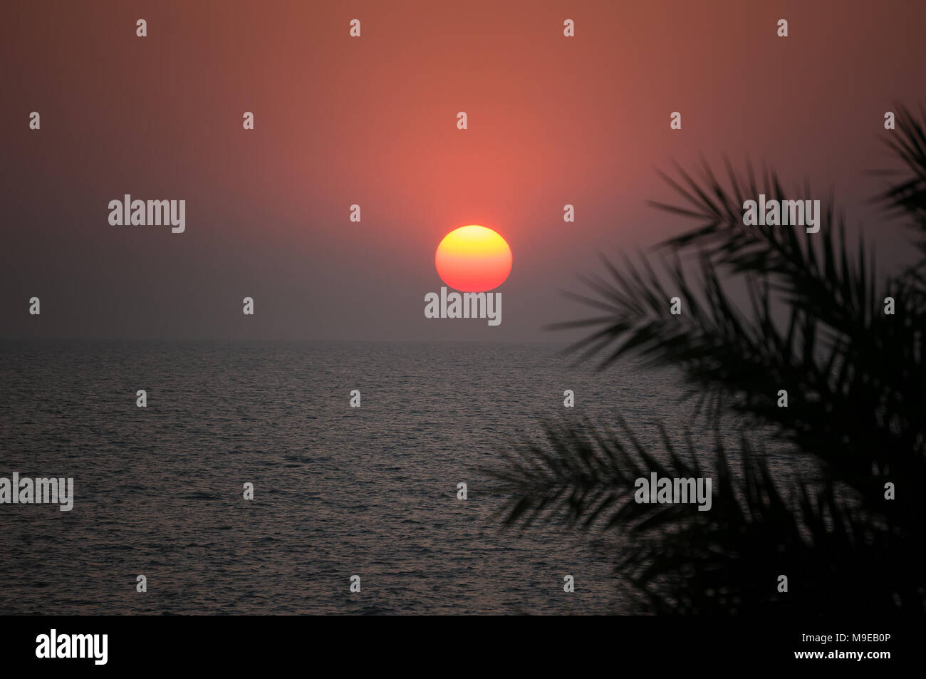 Bel tramonto sul mare in un paese tropicale. Il sole splende attraverso le foglie di un albero di palma. Il sole tramonta dietro l'orizzonte in mare Foto Stock