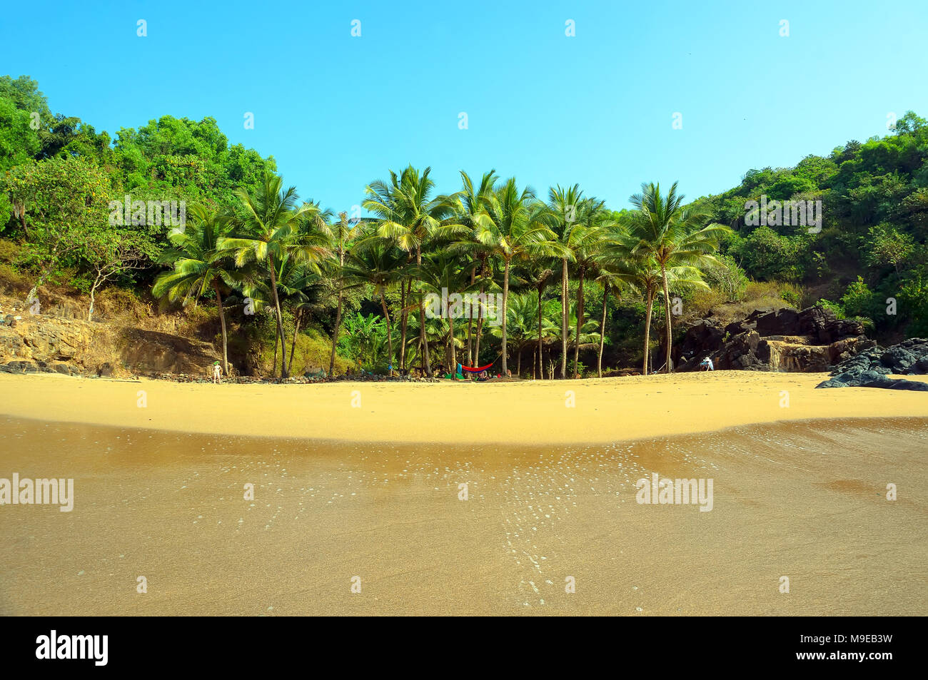 Il Palm Grove su una piccola spiaggia con sabbia gialla. Gokarna. Paradise Beach. Foto Stock