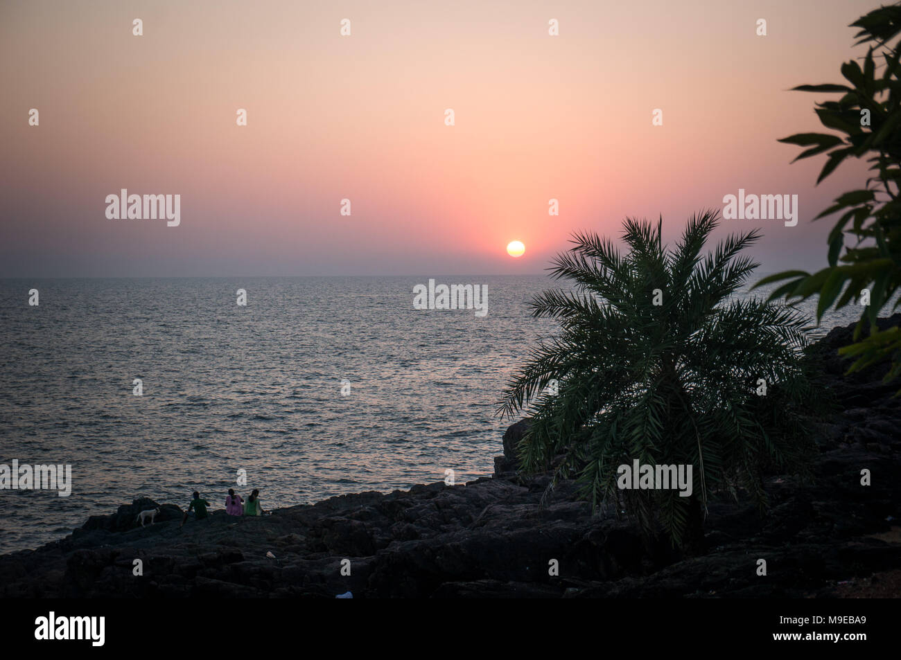 Bel tramonto sul mare in un paese tropicale. Il sole splende attraverso le foglie di un albero di palma. Il sole tramonta dietro l'orizzonte in mare Foto Stock