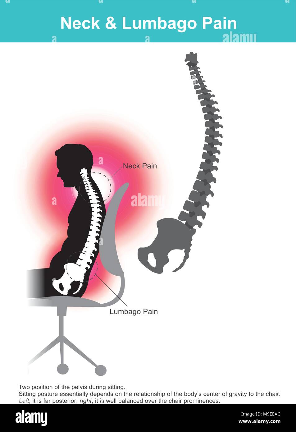 La regione lombare è talvolta indicata come la colonna vertebrale inferiore, o come una zona del dorso in sua prossimità. Illustrazione Vettoriale