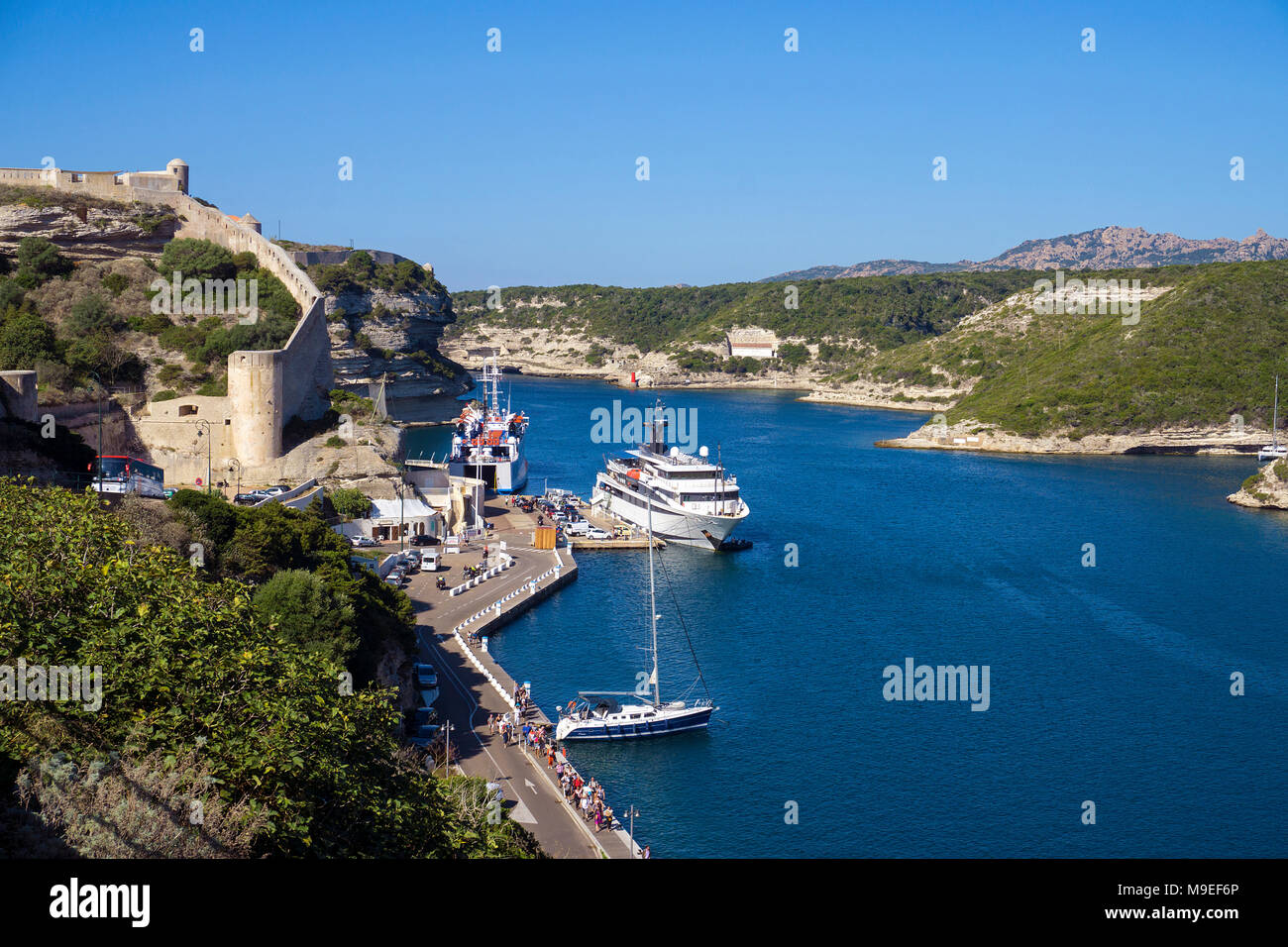 Prodotti della pesca e dal porto turistico di Bonifacio, Corsica, Francia, Mediterraneo, Europa Foto Stock