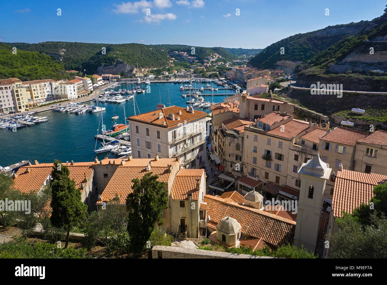 Prodotti della pesca e dal porto turistico di Bonifacio, Corsica, Francia, Mediterraneo, Europa Foto Stock