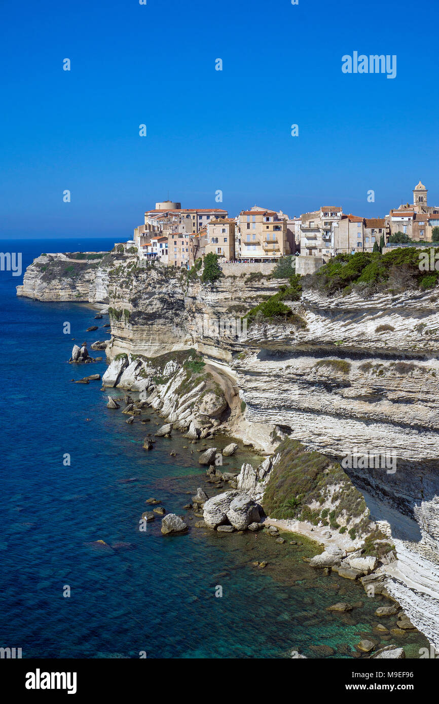 La cittadella e la città alta di Bonifacio, costruito su una scogliera chalkstone, Corsica, Francia, Mediterraneo, Europa Foto Stock
