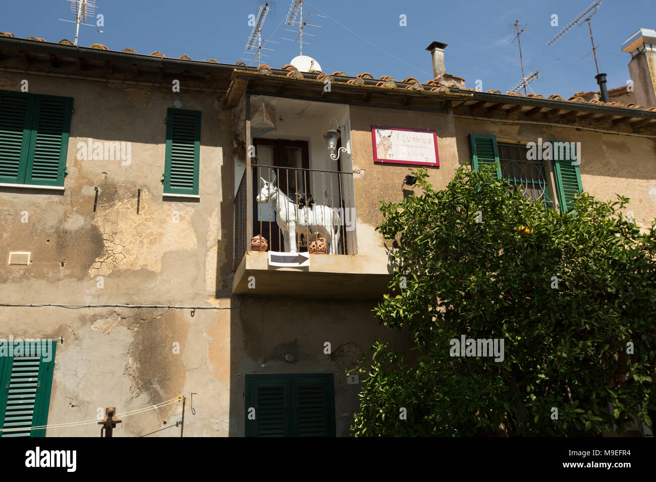 Scena intorno al villaggio di Bolgheri in Toscana. La zona è nota per la produzione di vino. Foto Stock