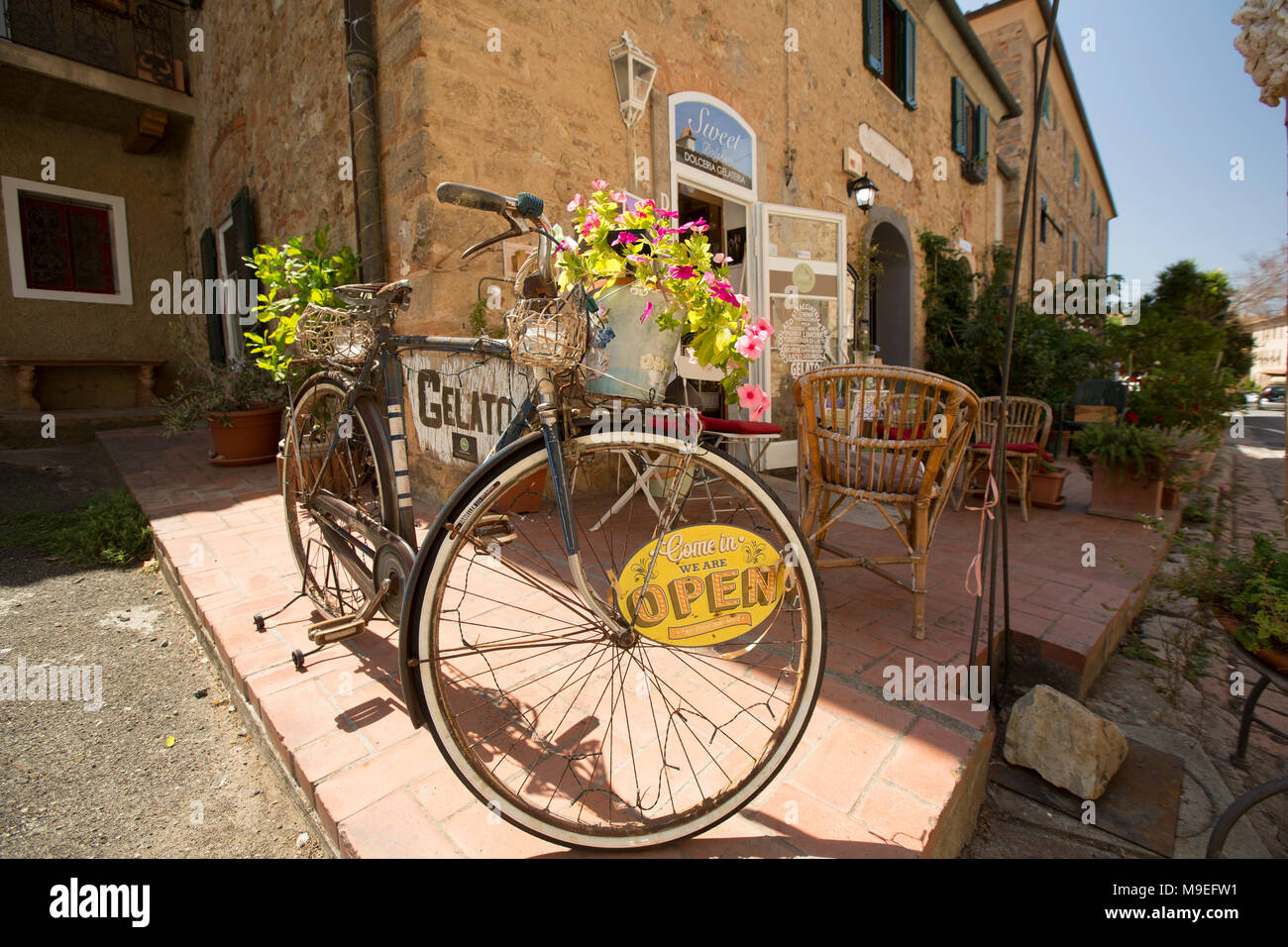 Scena intorno al villaggio di Bolgheri in Toscana. La zona è nota per la produzione di vino. Foto Stock