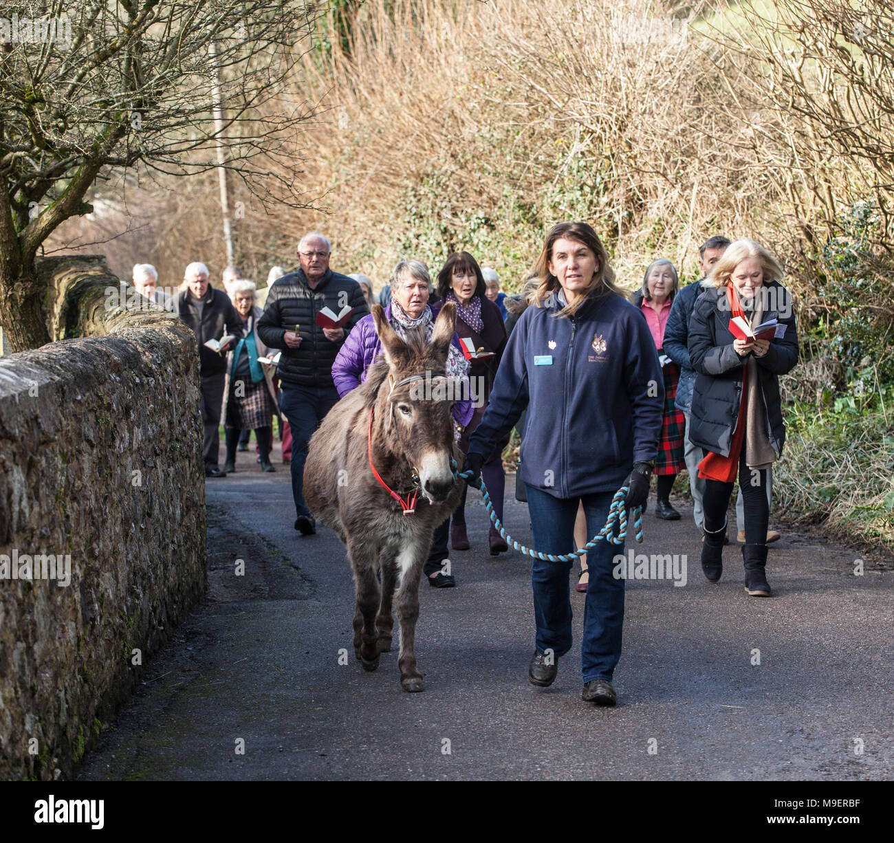 Sidmouth, Regno Unito, 25 Mar 18. Ponk il Donk ha preso un rotolo starring alla Domenica delle Palme servizio a Salcombe Regis chiesa, vicino a Sidmouth. La manifestazione annuale vede parrocchiani processo fino alla collina, e quest'anno il Rev David Lewis intitolata la passeggiata, insieme con Ponk, a 14 anno vecchio asino dalla vicina Sidmouth Donkey Sanctuary. Foto centrale / Alamy Live News. Credit: Foto centrale/Alamy Live News Foto Stock