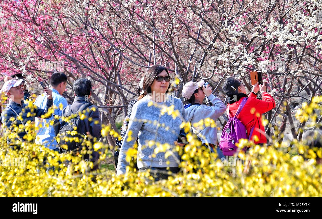 Pechino, Cina. 25 Mar, 2018. Turisti visitano la Pechino Dinastia Ming (1368-1644) City Wall reliquie Park di Pechino, capitale della Cina, 25 marzo 2018. Credito: Li Xin/Xinhua/Alamy Live News Foto Stock