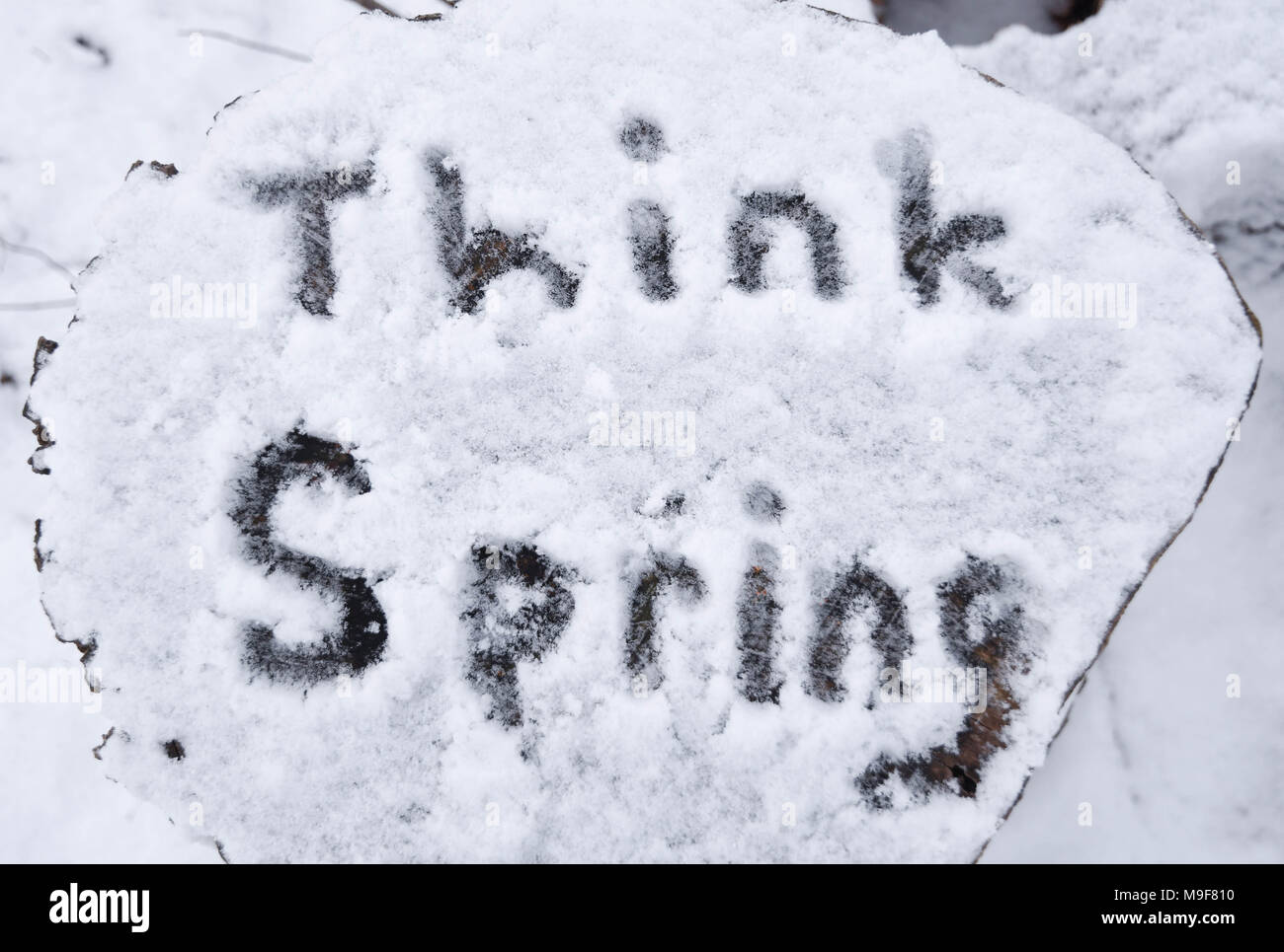 Il messaggio 'think molla' scritto nella neve su un log tagliato dopo un inizio di stagione nevicata. Foto Stock