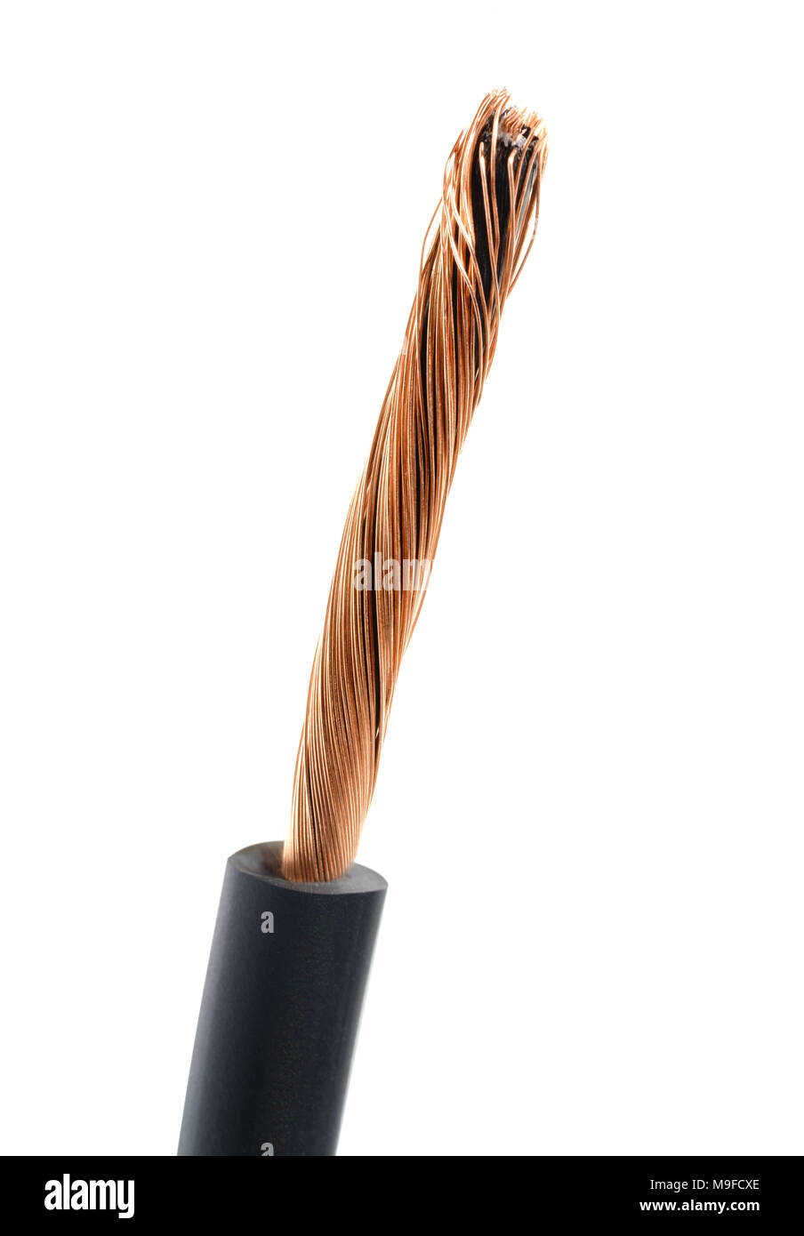 Cavo coassiale macro close up isolato Foto Stock