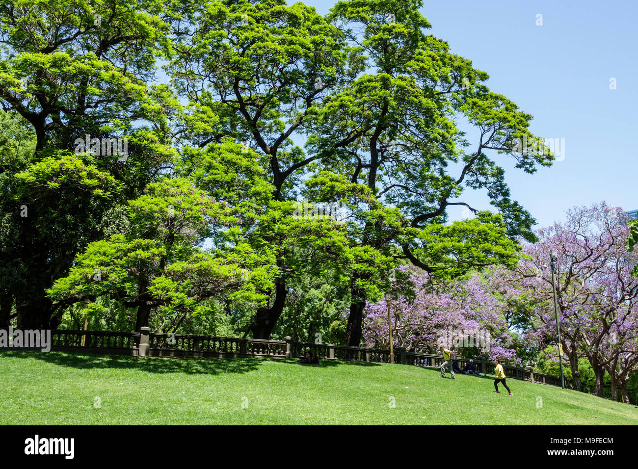 Buenos Aires Argentina,Plaza San Martin,parco storico,spazio verde,alberi,percorso,uomo maschio,a piedi,ispanico,ARG171128159 Foto Stock