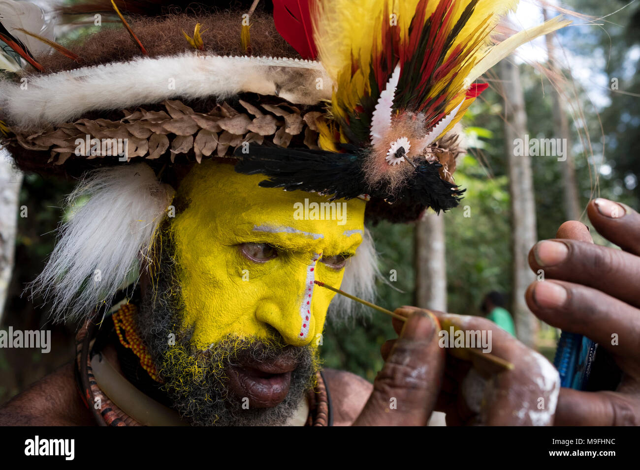 Huli Wigman dipinge il suo volto in preparazione per il Mount Hagen spettacolo culturale nelle Highlands Occidentali, Papua Nuova Guinea Foto Stock