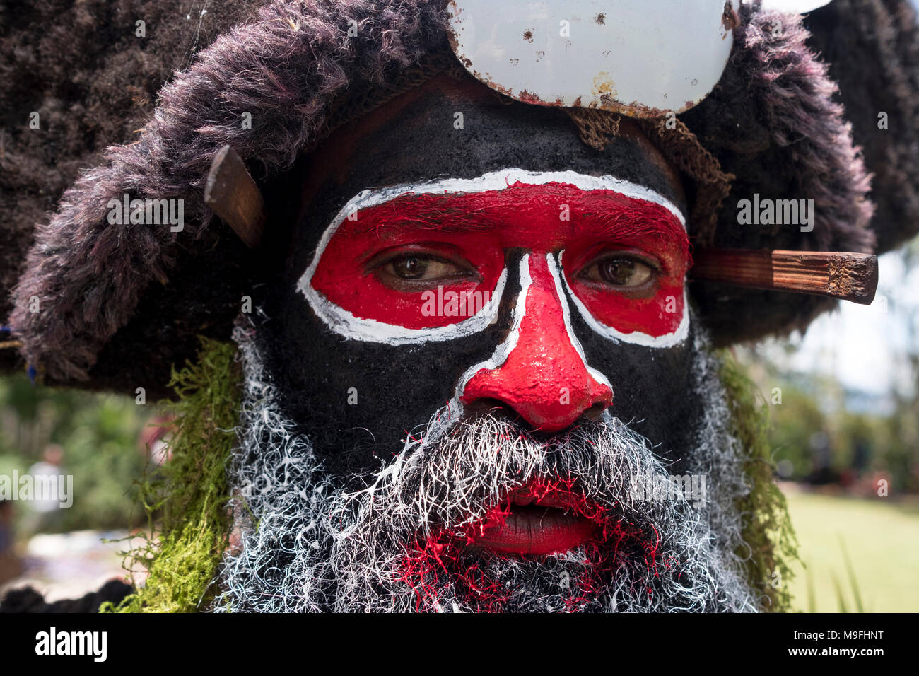 Un Huli Wigman dipinto e vestito per la Mount Hagen spettacolo culturale nelle Highlands Occidentali, Papua Nuova Guinea. Foto Stock