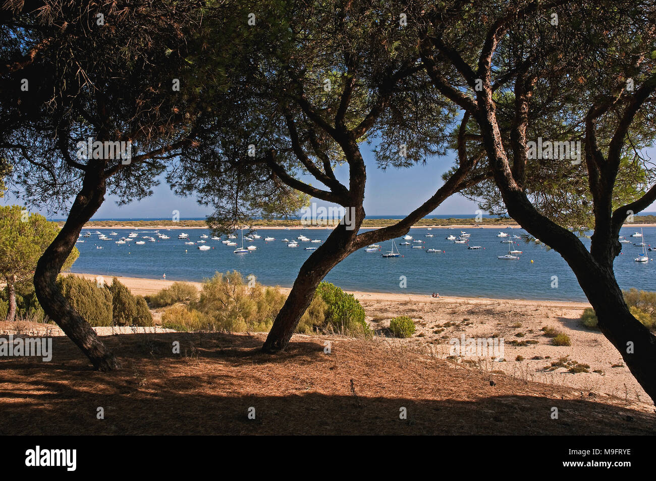El Rompido beach. Cartaya. La provincia di Huelva. Regione dell'Andalusia. Spagna. Europa Foto Stock