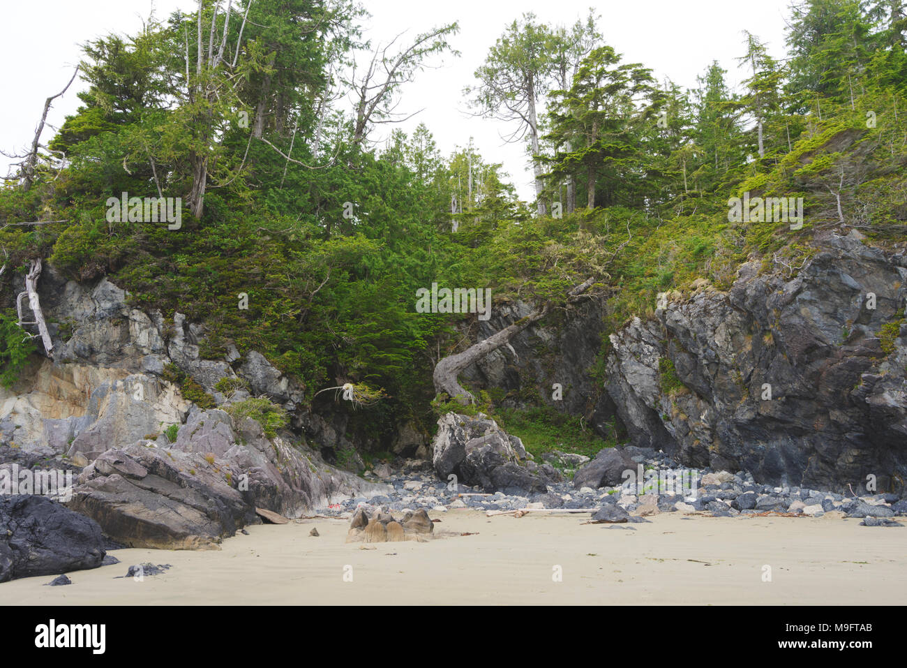 Wild paesaggi intorno a Tofino, Isola di Vancouver, BC Foto Stock