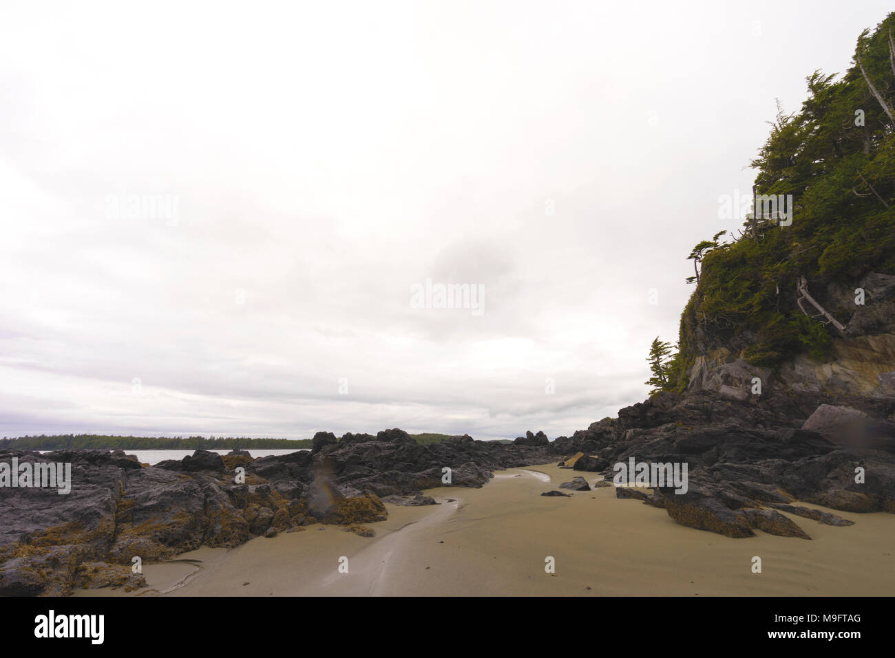 Wild paesaggi intorno a Tofino, Isola di Vancouver, BC Foto Stock