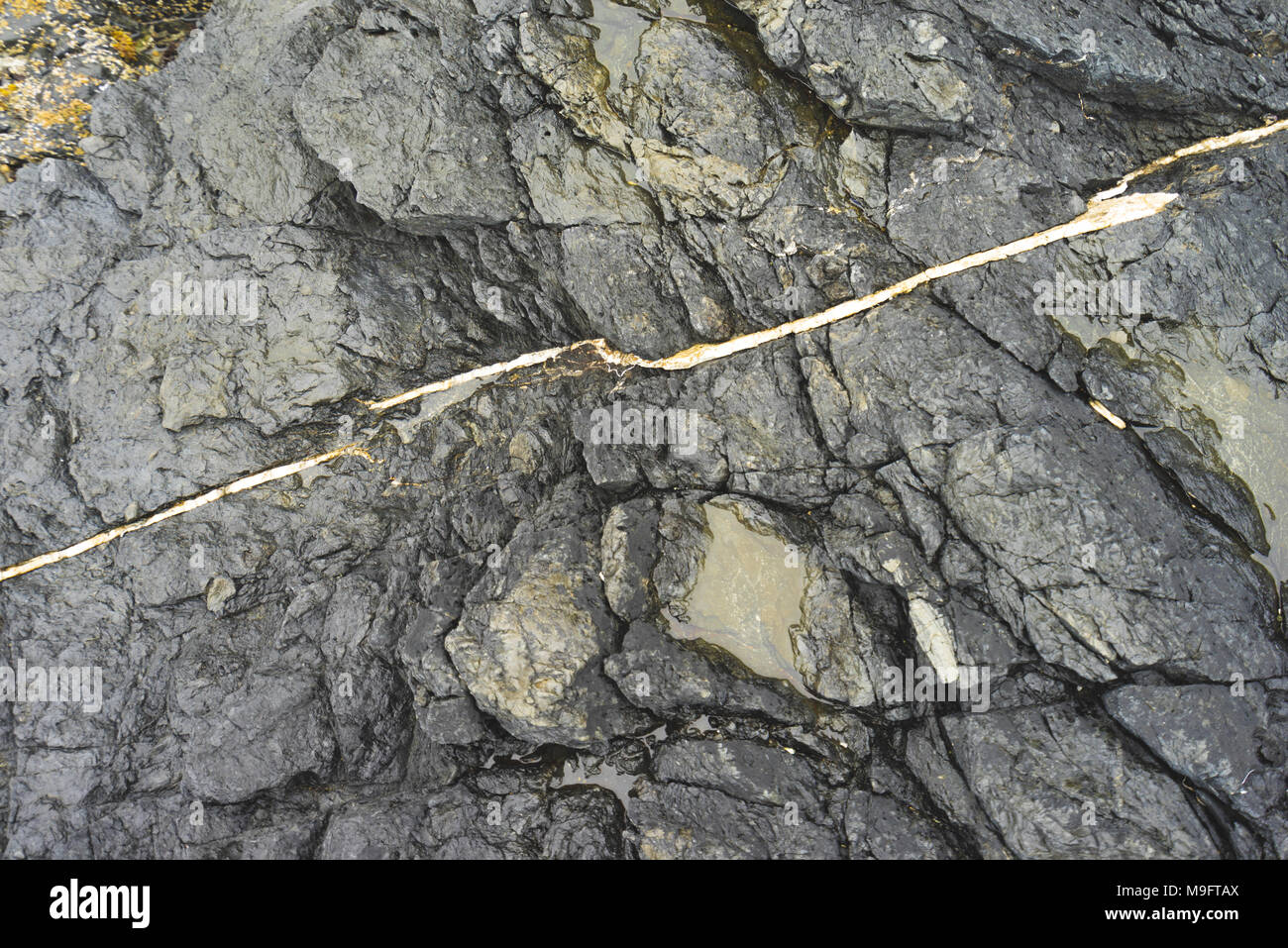 Wild paesaggi intorno a Tofino, Isola di Vancouver, BC Foto Stock