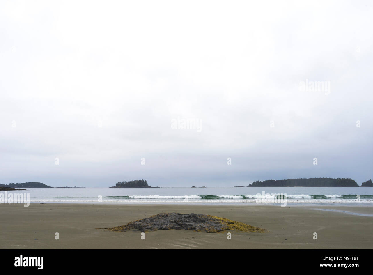 Wild paesaggi intorno a Tofino, Isola di Vancouver, BC Foto Stock
