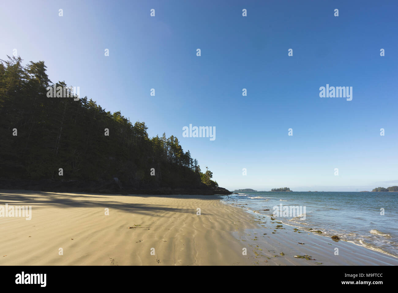 Wild paesaggi intorno a Tofino, Isola di Vancouver, BC Foto Stock