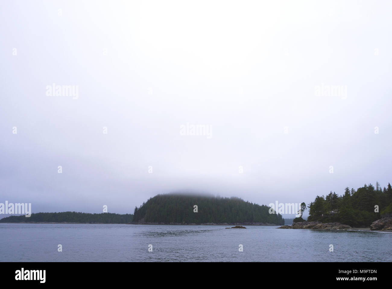Wild paesaggi intorno a Tofino, Isola di Vancouver, BC Foto Stock
