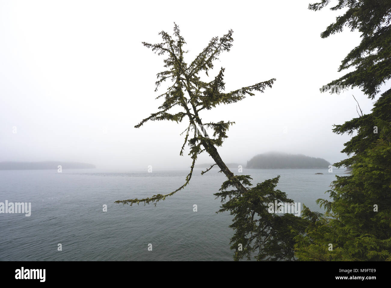 Wild paesaggi intorno a Tofino, Isola di Vancouver, BC Foto Stock