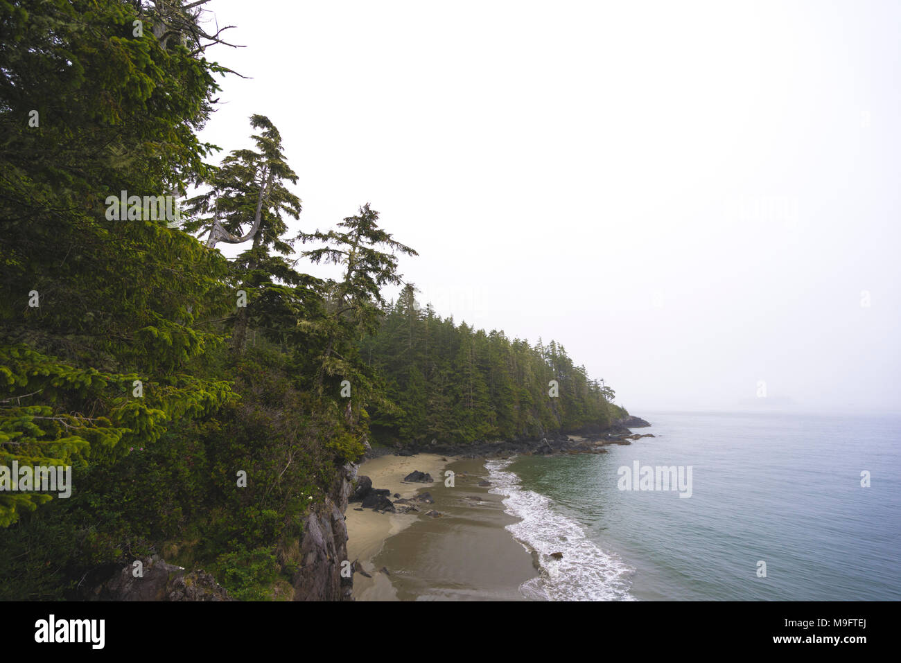 Wild paesaggi intorno a Tofino, Isola di Vancouver, BC Foto Stock