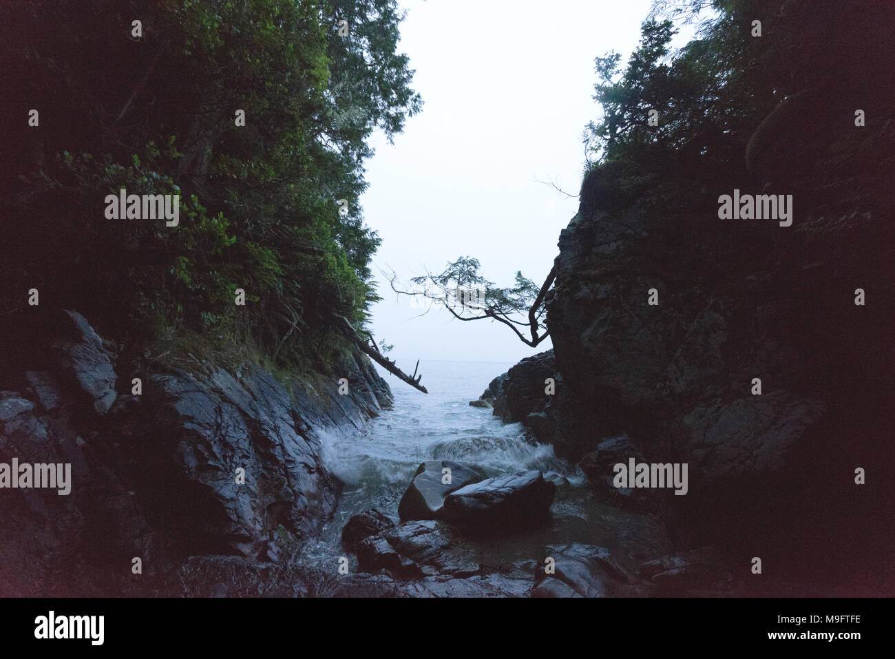 Wild paesaggi intorno a Tofino, Isola di Vancouver, BC Foto Stock