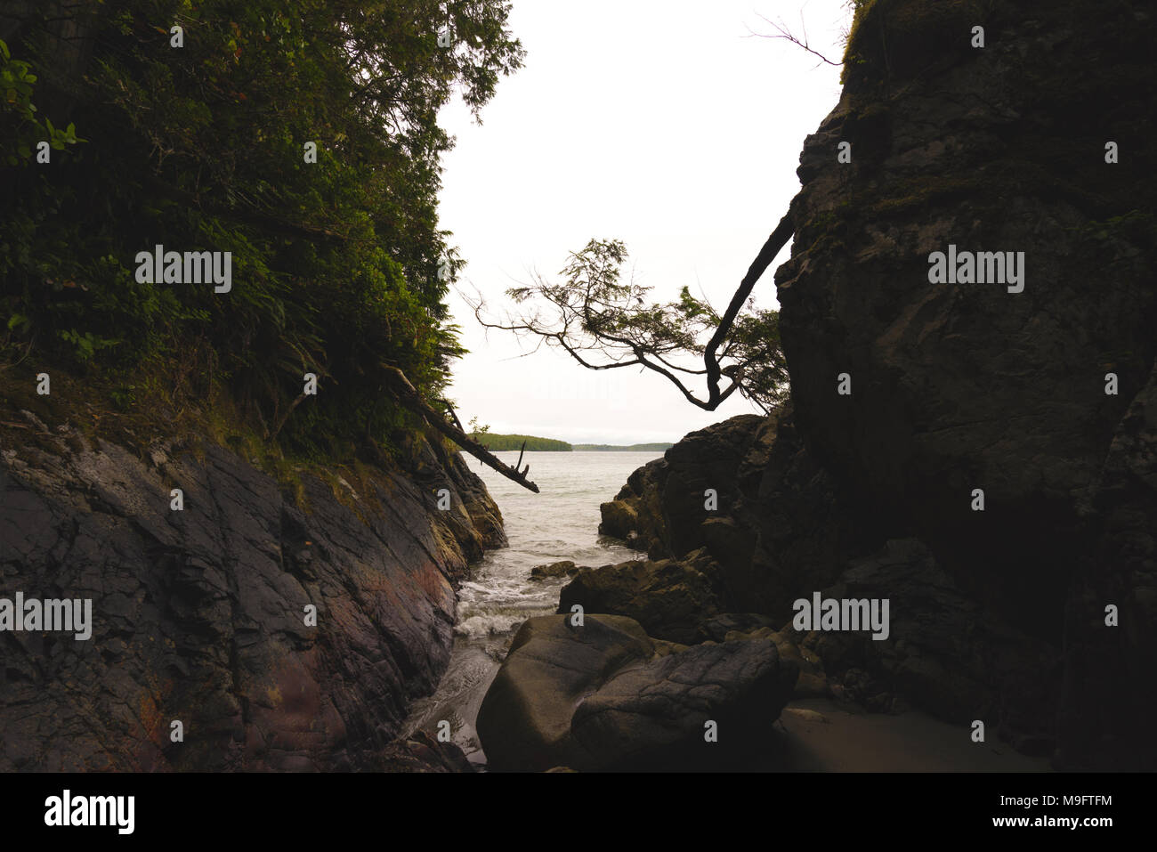 Wild paesaggi intorno a Tofino, Isola di Vancouver, BC Foto Stock