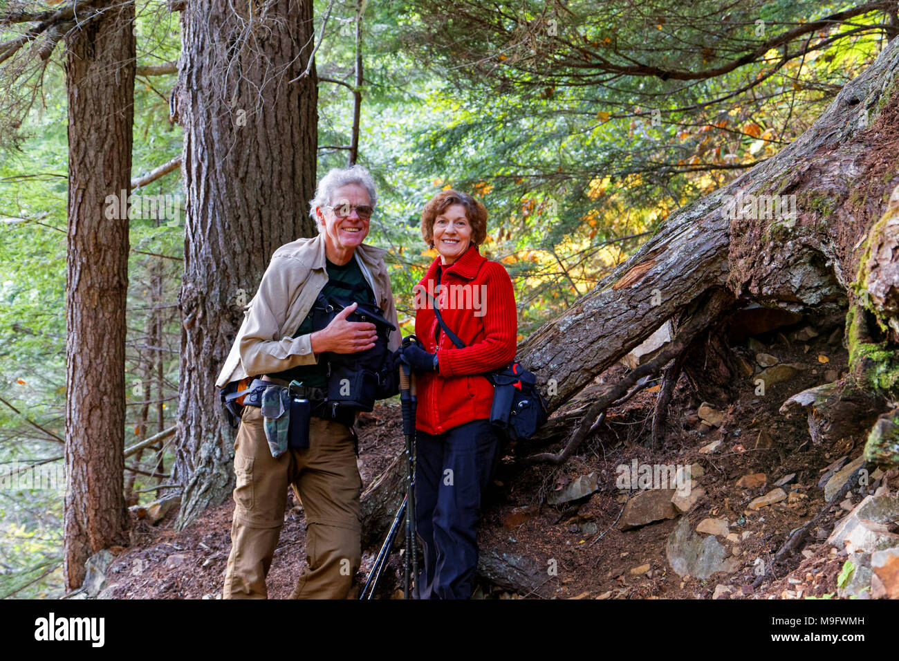 42,636.05955 anziani coppia sposata in appoggio su un escursione fino Gulch glacier Trail in un vecchio crescita foresta di conifere, vicino Smithers, British Columbia, Canada Foto Stock