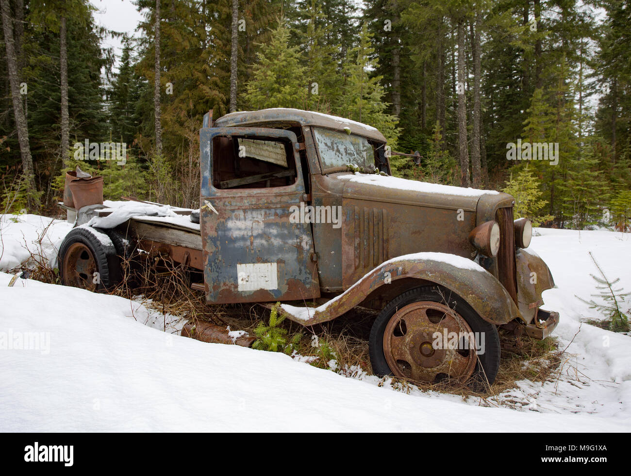 Un vecchie e arrugginite 1932 Chevy 1 1/2 ton carrello, vicino Noxon, Montana. Foto Stock
