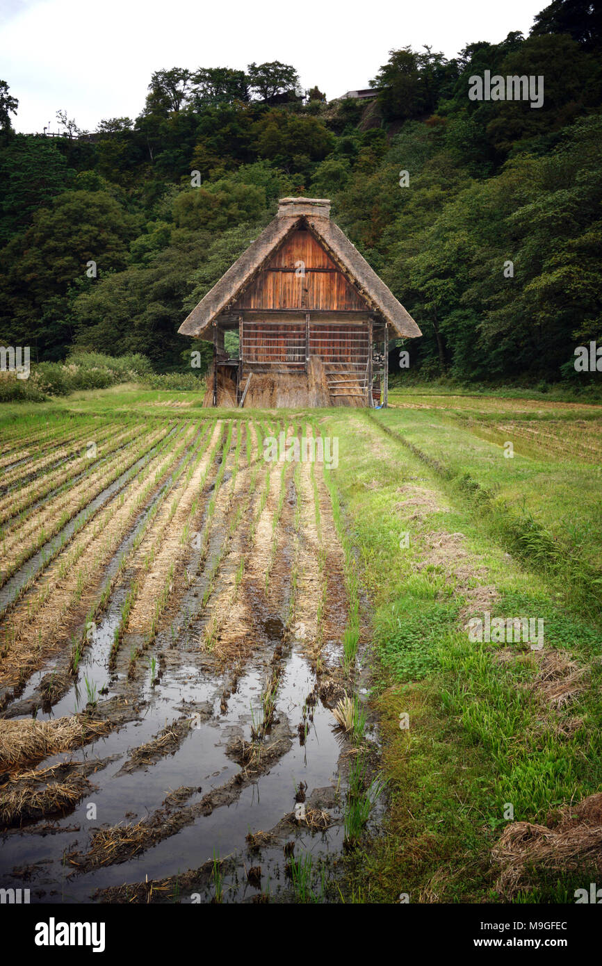 Case coloniche in legno vernacolari con tetti di paglia nei villaggi storici di Shirakawa a Gifu, Giappone Foto Stock